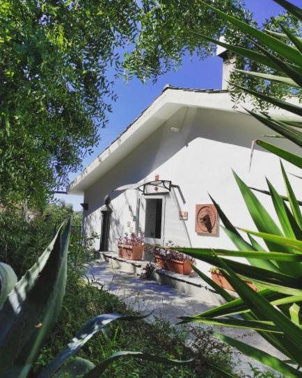 Tottavilla Affittacamere Campodonico  Exterior photo